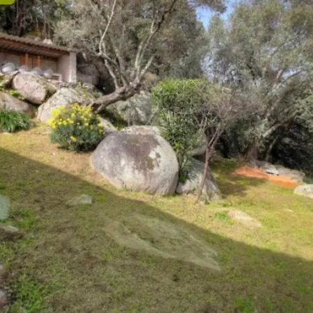 Hébergement de vacances Bellucciu Di Vecchio***. Porto-Vecchio (Corsica)